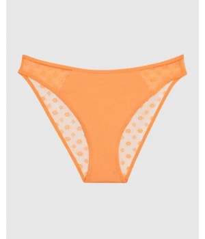 Mesh Bikini Panty