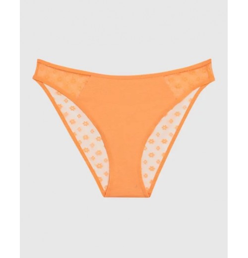 Mesh Bikini Panty